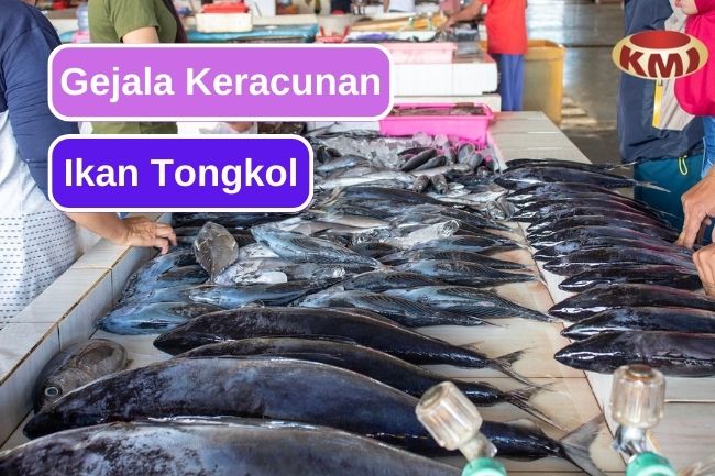 Hati-Hati! Seperti Ini Gejala Keracunan Tongkol